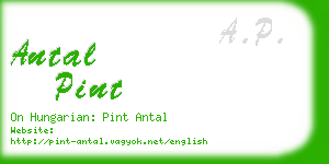 antal pint business card